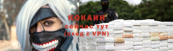 тгк Алексин