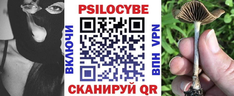 Псилоцибиновые грибы Psilocybe  Тайшет 